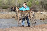 ENFANT ET CHIEN 209